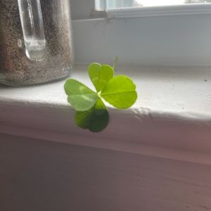 Meet your Posher, Roshell